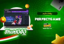 پرفکت گیم PerfectGame