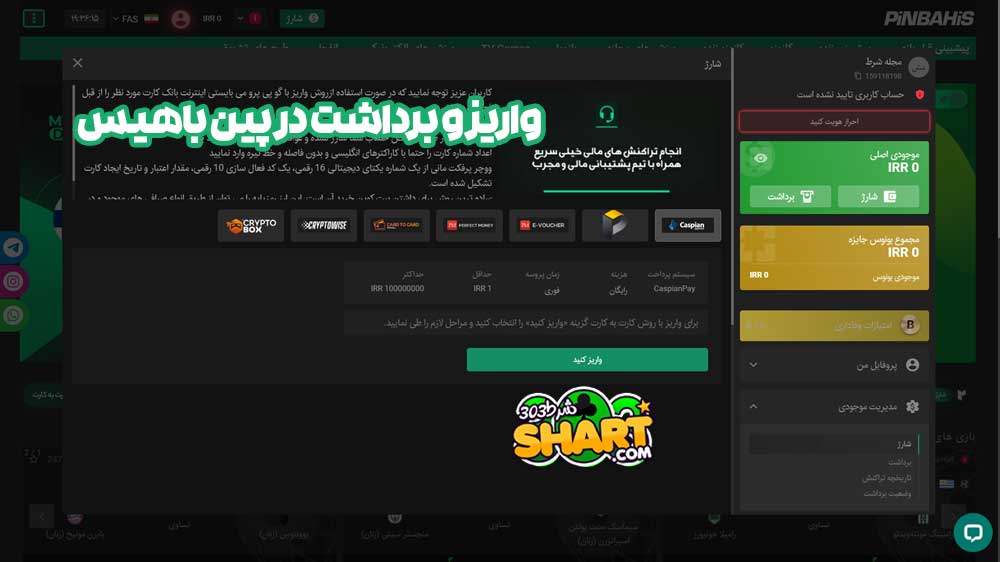 واریز و برداشت در پین باهیس