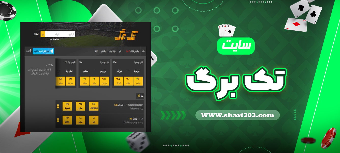 سایت تک برگ
